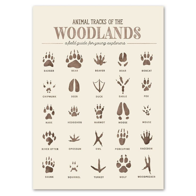 handle grå kam Woodland Animal Tracks – PFH Decor