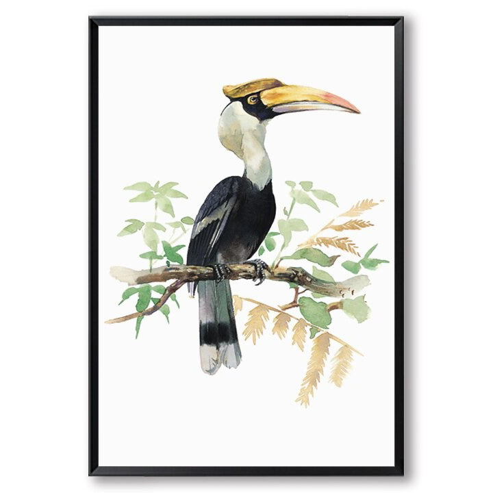 Watercolour Hornbill