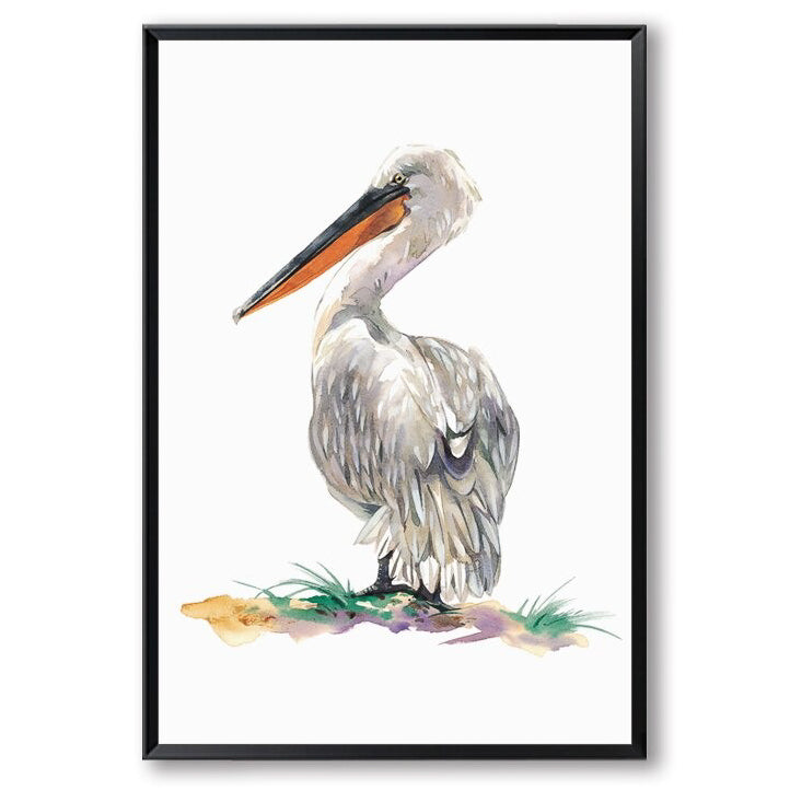Watercolour Pelican