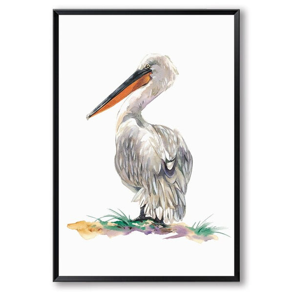 Watercolour Pelican