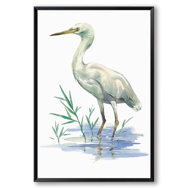 Watercolour Egret