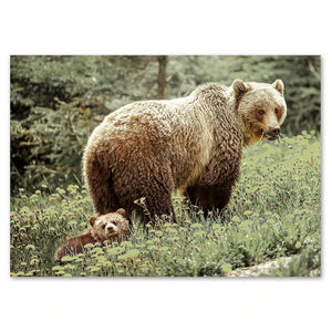 Bear & Cub