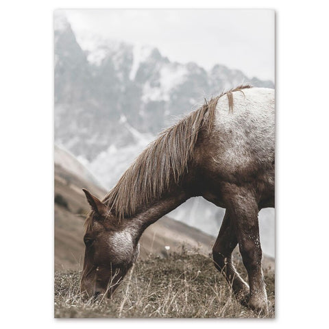 Highland Pony II