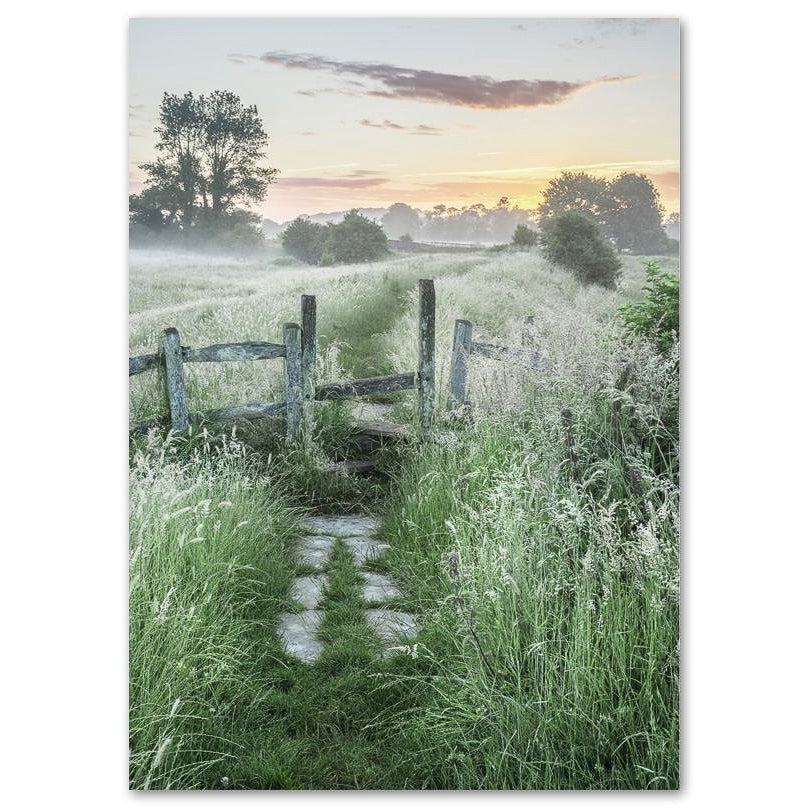 Trail in Meadow
