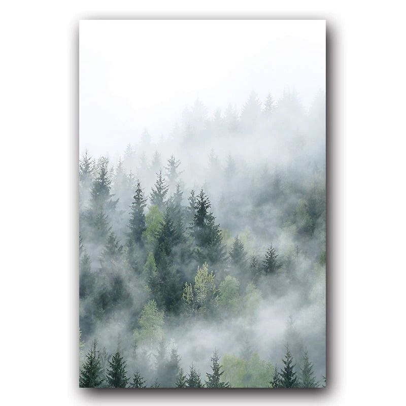 Misty Forest II