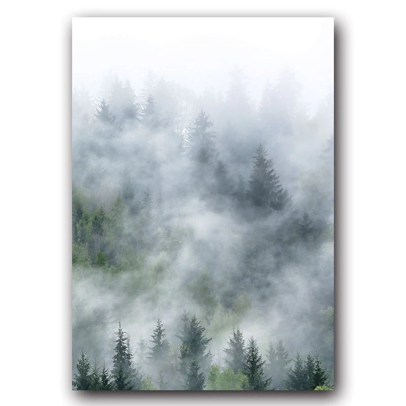 Misty Forest III