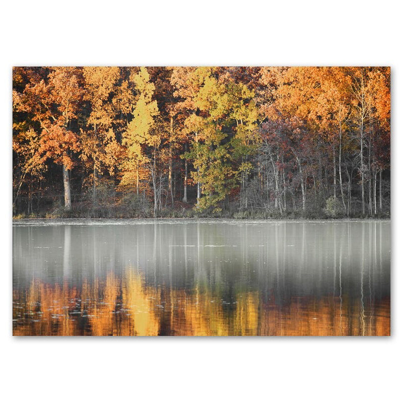Autumn Forest & Reflection