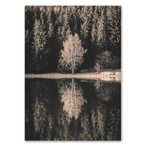 Autumn Tree & Reflection