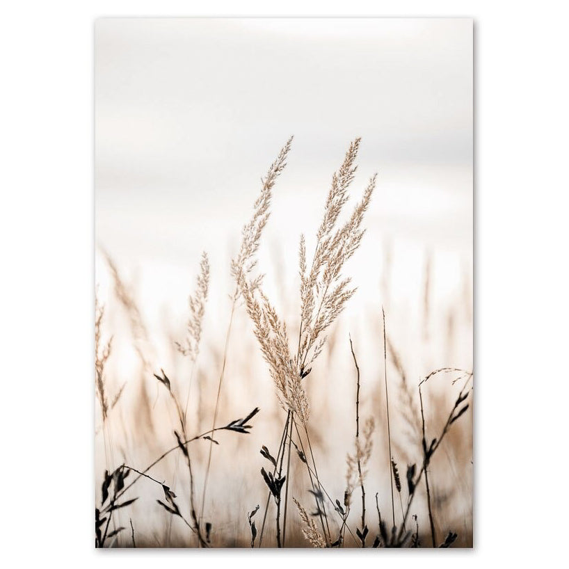 Autumn Reed
