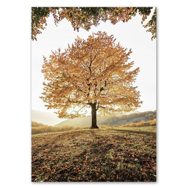 Tree in Autumn