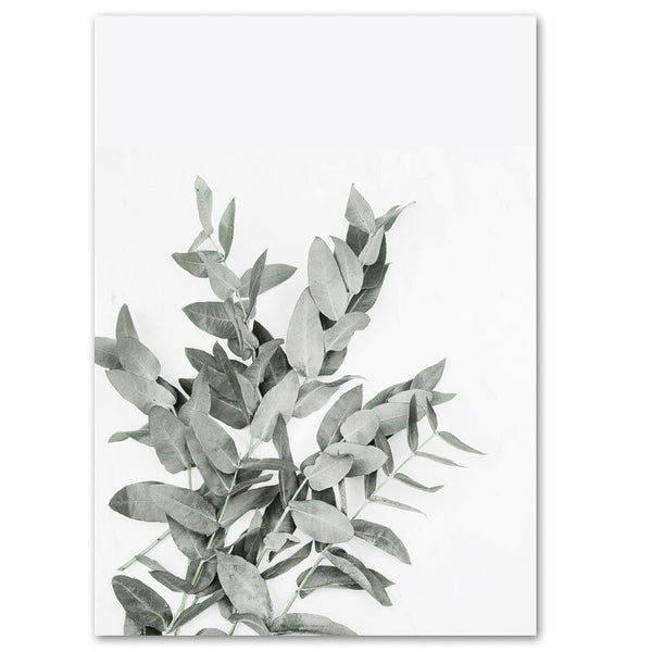 The Eucalyptus III