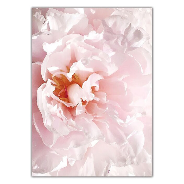 Pink Peony