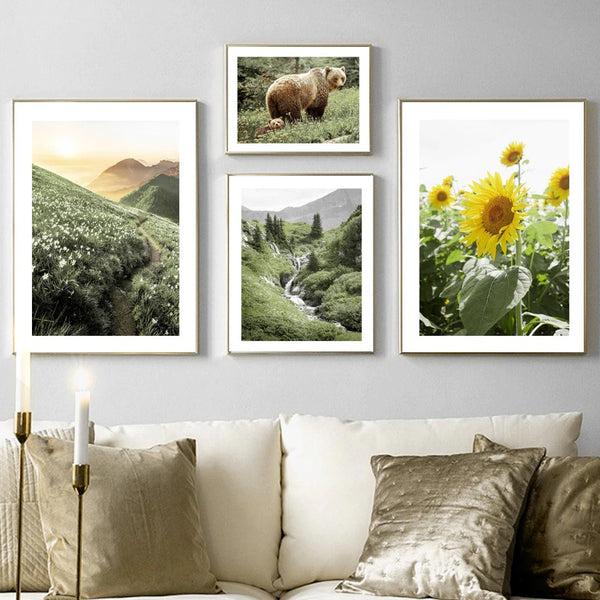 Sunflowers