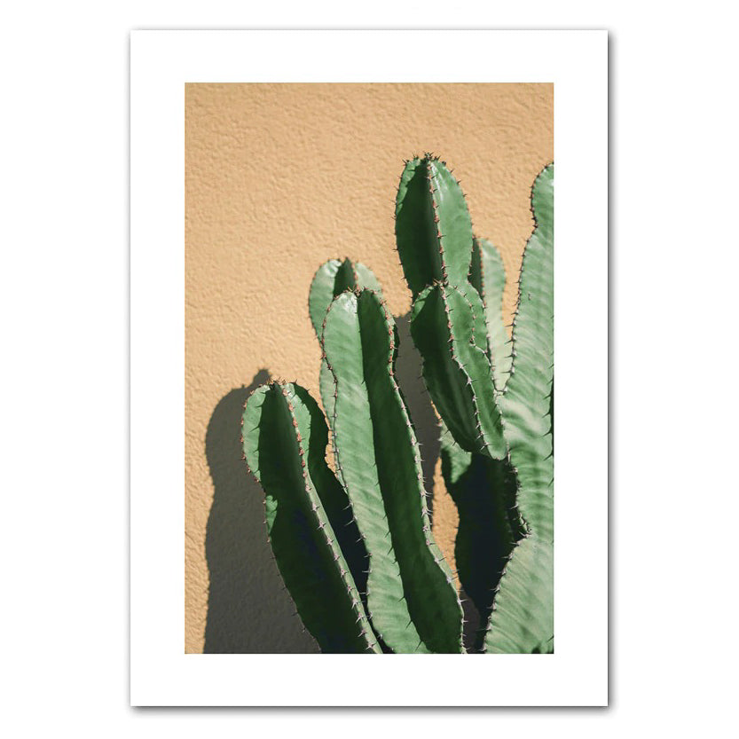 The Cactus I